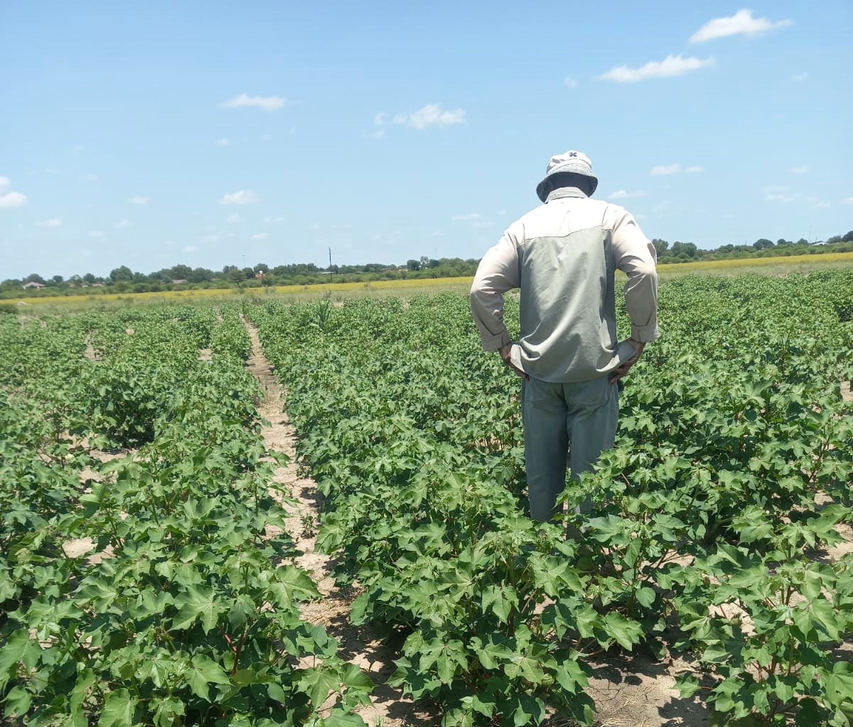 WIBC Innovation 2020